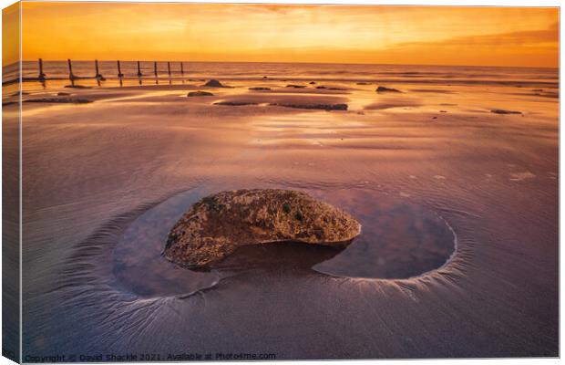Seaside Rockpool at Low Tide during Sunset  Canvas Print by David Shackle