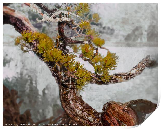 Bonsai Abstract in Winter Print by Jeffrey Burgess