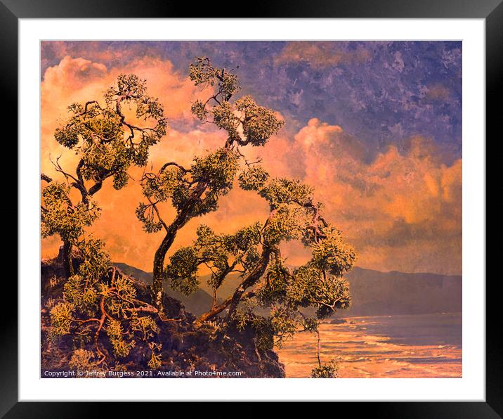 Bonsai Hemlock and Pacific Coast Framed Mounted Print by Jeffrey Burgess