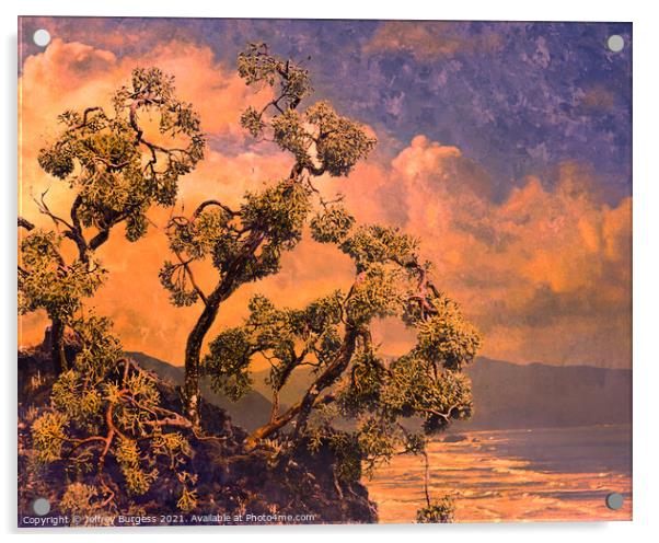 Bonsai Hemlock and Pacific Coast Acrylic by Jeffrey Burgess