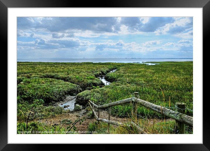 Two Tree Island Marshes  Essex Framed Mounted Print by Diana Mower