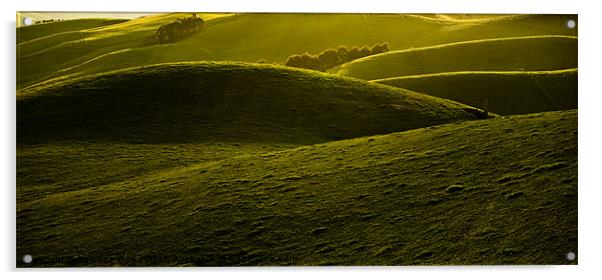 Green folds Acrylic by Caroline Gorka