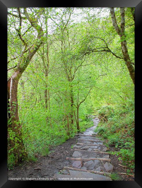 Forest Path, Brecon Beacons Framed Print by Graham Lathbury