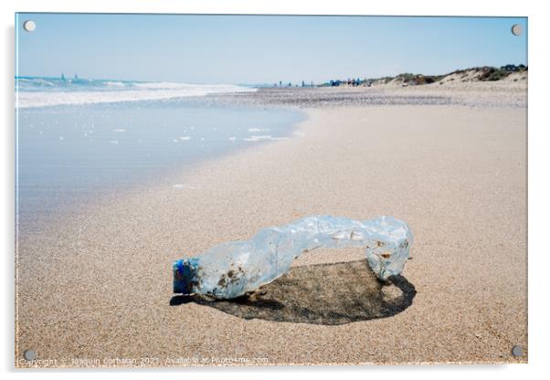 Abandoned pet plastic bottle on the shore of a clean beach, poll Acrylic by Joaquin Corbalan