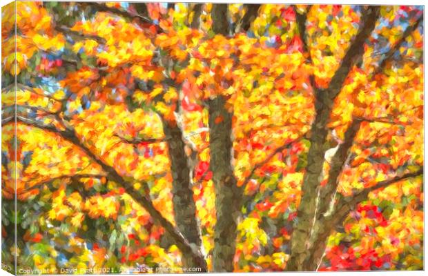 Art Of Autumn  Canvas Print by David Pyatt