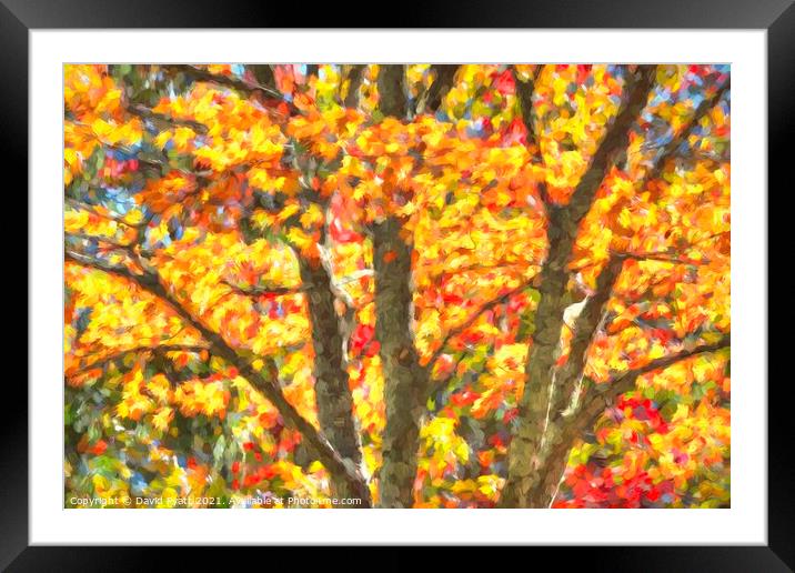 Art Of Autumn  Framed Mounted Print by David Pyatt
