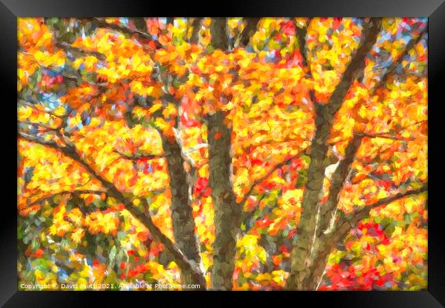 Art Of Autumn  Framed Print by David Pyatt