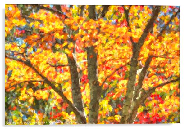 Art Of Autumn  Acrylic by David Pyatt