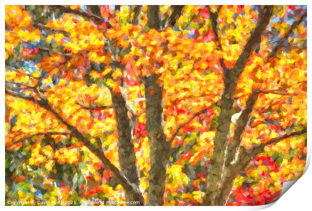 Art Of Autumn  Print by David Pyatt