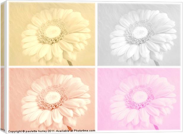 A Daisy Collage. Canvas Print by paulette hurley