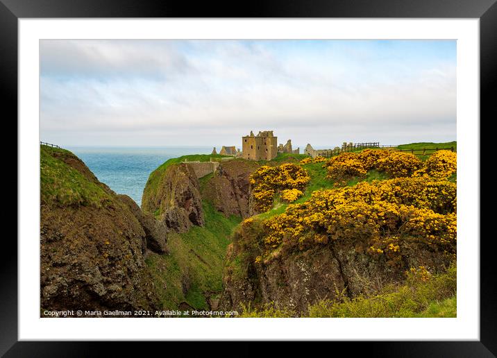 Dunnottar Castle in Spring Framed Mounted Print by Maria Gaellman