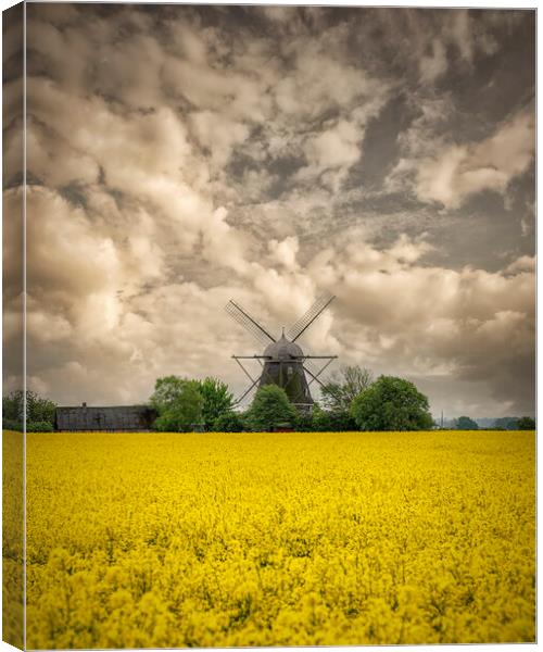 Rapeseed Field and Windmill Canvas Print by Antony McAulay