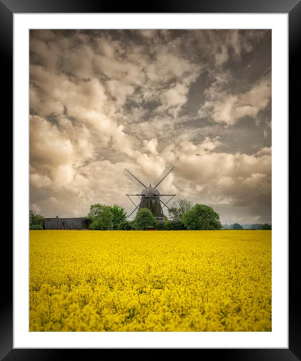 Rapeseed Field and Windmill Framed Mounted Print by Antony McAulay