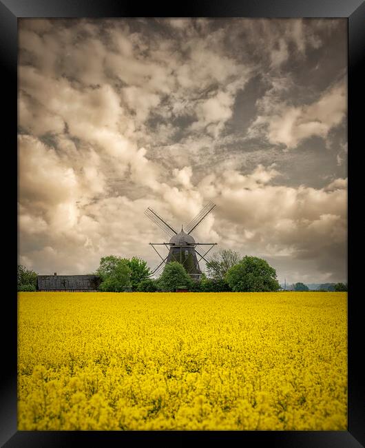 Rapeseed Field and Windmill Framed Print by Antony McAulay