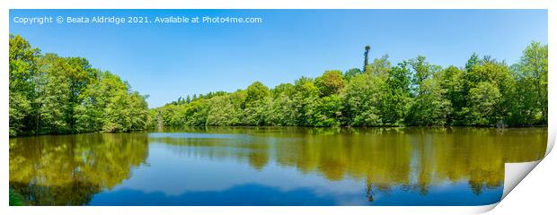 Virginia Water lake Print by Beata Aldridge