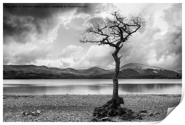 Milarrochy Bay Loch Lomond monochrome Print by Graham Moore