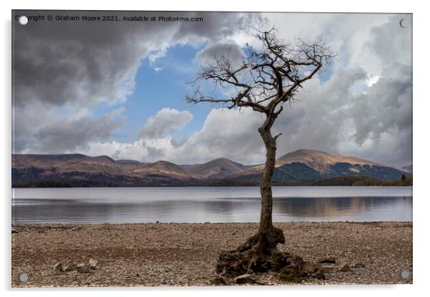 Milarrochy Bay Loch Lomond Acrylic by Graham Moore