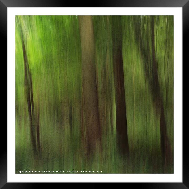 Woods Framed Mounted Print by Francesca Shearcroft