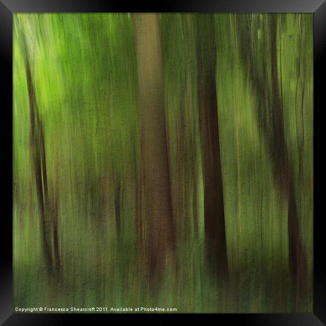 Woods Framed Print by Francesca Shearcroft