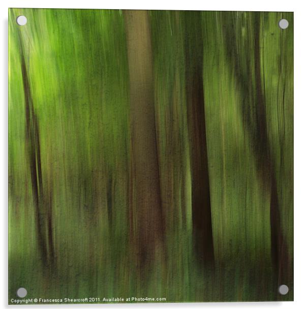 Woods Acrylic by Francesca Shearcroft