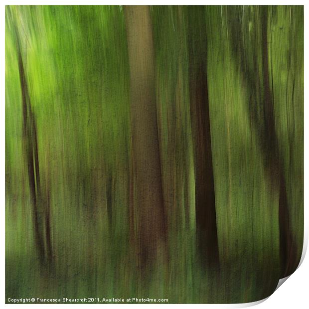 Woods Print by Francesca Shearcroft