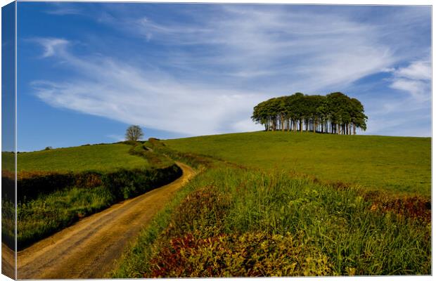 Nearly Home Trees Coming Home Trees  Canvas Print by Oxon Images