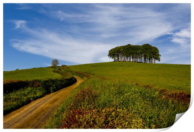 Nearly Home Trees Coming Home Trees  Print by Oxon Images