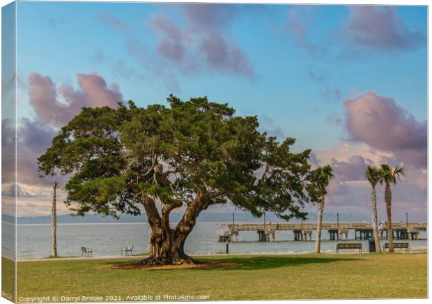 Ancient old oak tree by a pier and park Canvas Print by Darryl Brooks