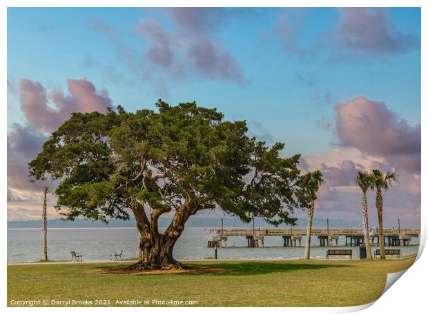 Ancient old oak tree by a pier and park Print by Darryl Brooks