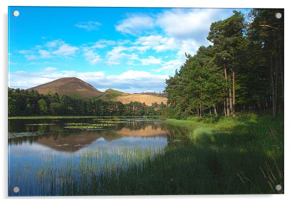 Bowdenmoor lake Acrylic by Stuart Thomas