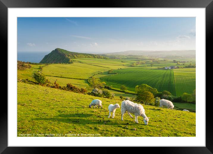 View from Peak Hill, near Sidmouth, East Devon Framed Mounted Print by Justin Foulkes
