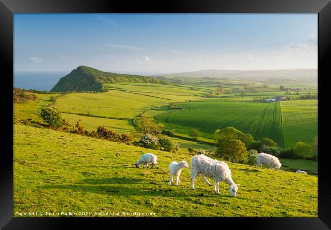 View from Peak Hill, near Sidmouth, East Devon Framed Print by Justin Foulkes