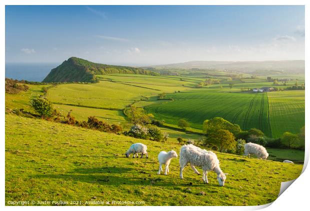 View from Peak Hill, near Sidmouth, East Devon Print by Justin Foulkes