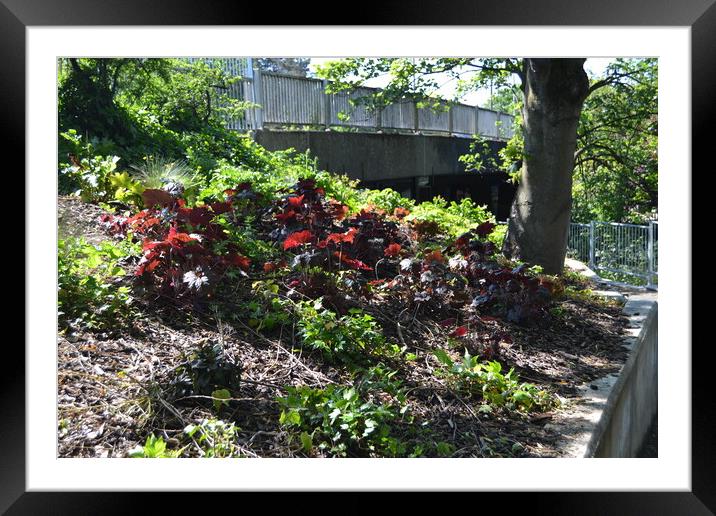 Central Park Chelmsford Framed Mounted Print by John Bridge