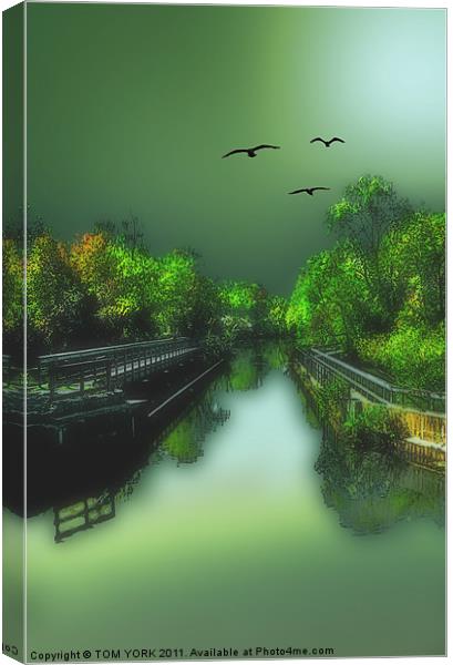 THE OLD CANAL Canvas Print by Tom York