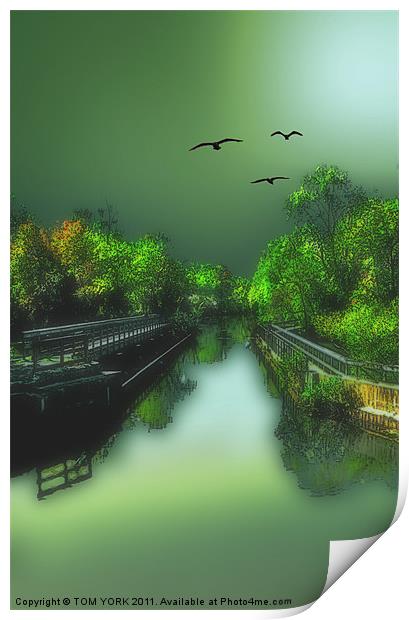 THE OLD CANAL Print by Tom York