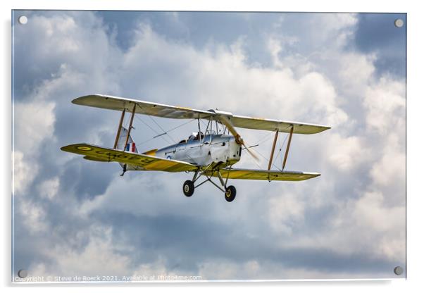 de Havilland Tiger Moth Acrylic by Steve de Roeck