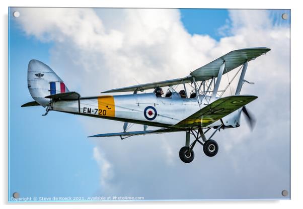 de Havilland DH82a Tiger Moth Acrylic by Steve de Roeck