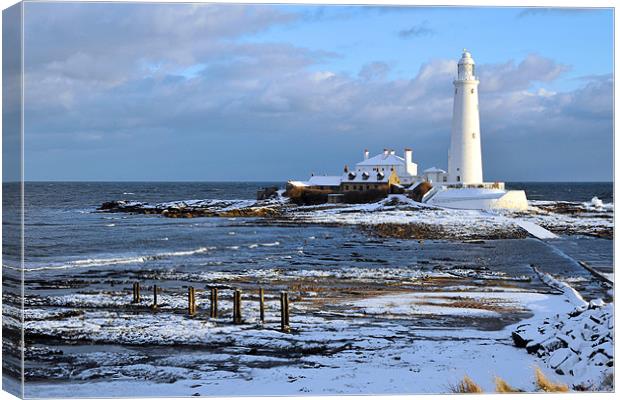 St Mary's Lighthouse and Posts, Winter Canvas Print by Michael Oakes