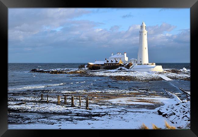 St Mary's Lighthouse and Posts, Winter Framed Print by Michael Oakes