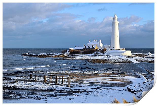St Mary's Lighthouse and Posts, Winter Print by Michael Oakes