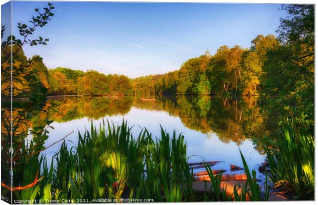 Coppice Pond - Early Summer Canvas Print by Trevor Camp