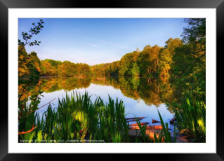 Coppice Pond - Early Summer Framed Mounted Print by Trevor Camp
