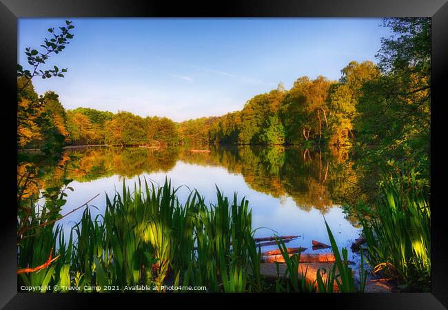 Coppice Pond - Early Summer Framed Print by Trevor Camp