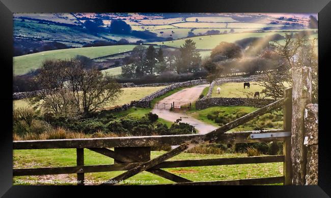 Dartmoor View Framed Print by Stephen Hamer