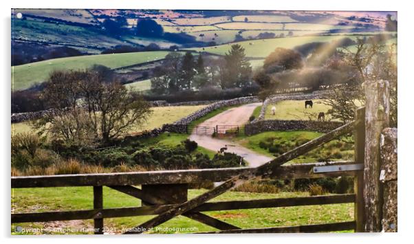 Dartmoor View Acrylic by Stephen Hamer
