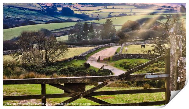 Dartmoor View Print by Stephen Hamer