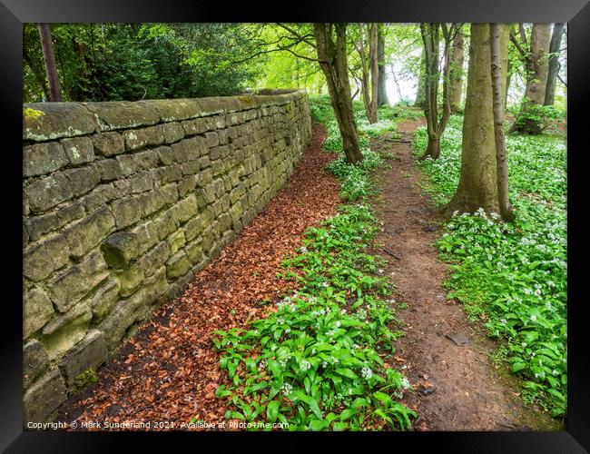 Jacob Smith Park at Knaresborough in Spring Framed Print by Mark Sunderland