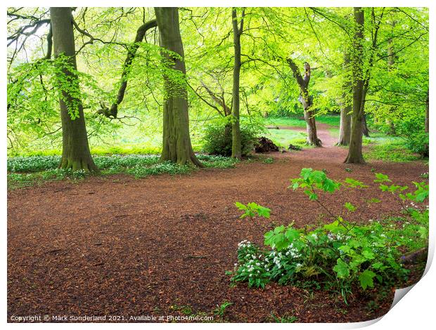 Jacob Smith Park at Knaresborough in Spring Print by Mark Sunderland