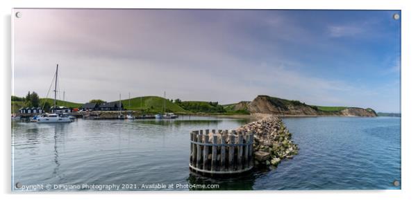 Ejerslev Lyng Harbor Panorama Acrylic by DiFigiano Photography